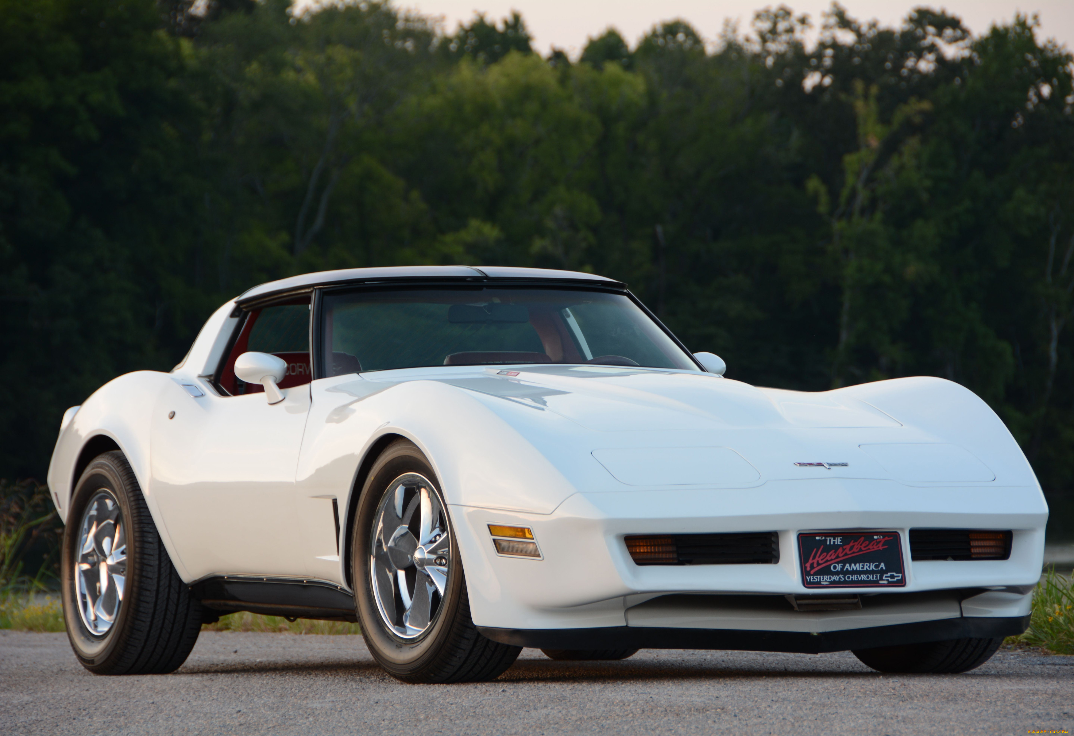 , corvette